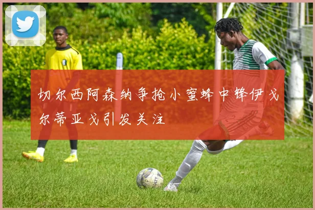 切尔西阿森纳争抢小蜜蜂中锋伊戈尔蒂亚戈引发关注