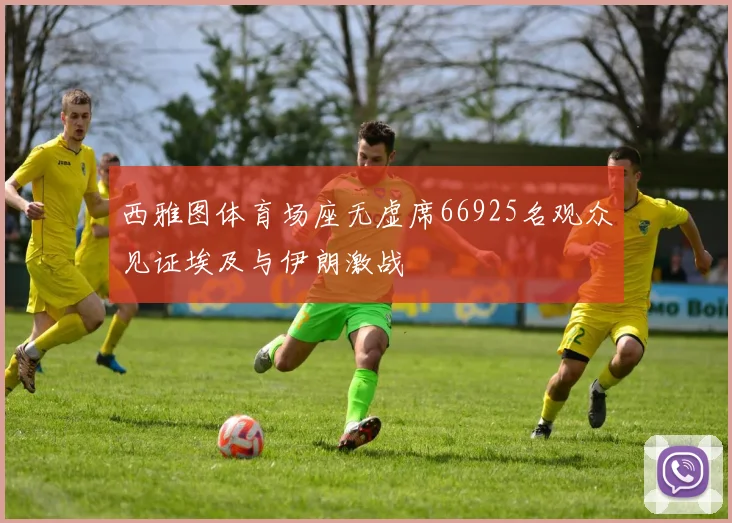 西雅图体育场座无虚席66925名观众见证埃及与伊朗激战