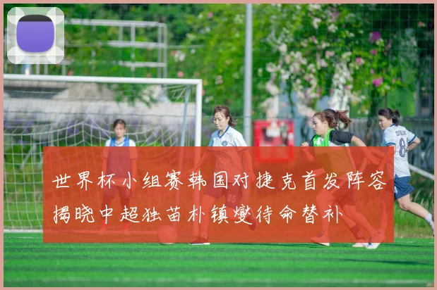 世界杯小组赛韩国对捷克首发阵容揭晓中超独苗朴镇燮待命替补
